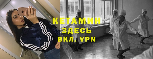 стаф Пересвет