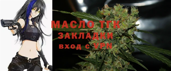 шишки Переславль-Залесский