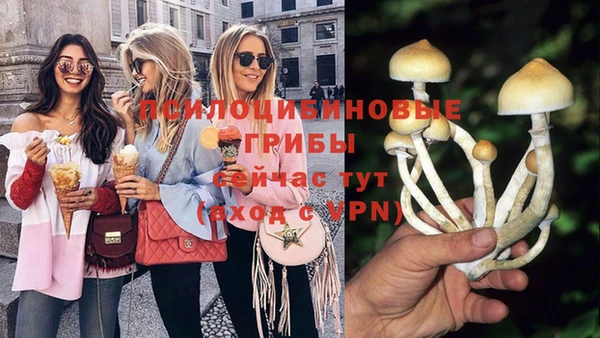 прущие крисы Пестово