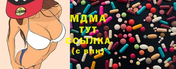 стаф Пересвет