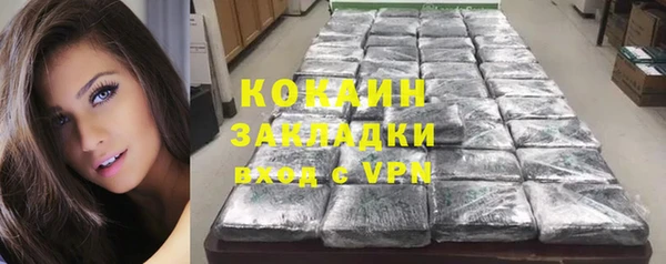 крисы Покачи