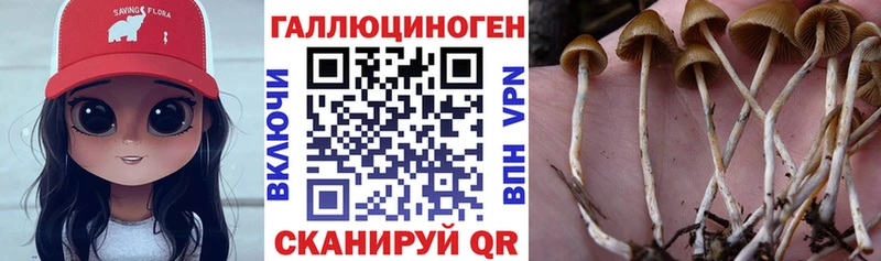 наркота  Котельнич  Псилоцибиновые грибы ЛСД 